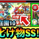 【モンスト】庭園10で”キラーEL”が乗る乱打SSがヤバすぎた！？www道中＆ボス戦の各所でキラーELが刺さる『改天叢雲』を使ってみた！