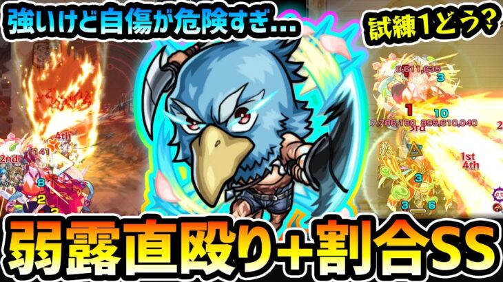 【サンラク】※このSS強いけど危険すぎる…。天魔1での使用感は？ボス必中の《弱露×直殴り×割合SS》が魅力的だが、高難易度クエストで負ける要素にも。シャングリラフロンティアコラボ使ってみた