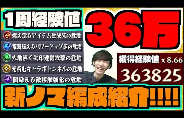 【新ノマクエ】ベル1周36万経験値!!!各属性のとりあえずこんな感じでやるかも編成紹介!!!【ぺんぺん】