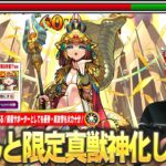 【モンスト】しろ「これはちゃんと限定真獣神化の性能してる！」新時代の割合毒ショットスキルが楽しすぎる！毒キラー持ちと相性抜群、サポート力＆新友情も火力十分！『クレオパトラ真獣神化』使ってみた！【しろ】