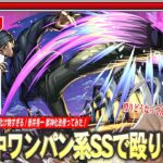 【モンスト】しろ「殴り火力どうなってんだww」弱点必中ワンパン系SS！超バラ×超MSEL×VキラーMで火力化け物すぎる！『赤井秀一』獣神化改使ってみた！【名探偵コナンコラボ2弾】【しろ】