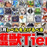 【モンスト】こいつのレベルは上げとけ！！《守護獣》優先して育てるべき守護獣リスト【2025.06.26】