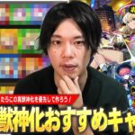 【モンスト】しろ「迷ったらこのキャラたちは絶対作っておこう！」真獣神化かなり増えてきたけど…現環境で優先すべきキャラは？2025年最新版『真獣神化おすすめキャラ』しろ的Tierランキング！【しろ】