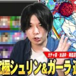 【モンスト】久しぶりに運枠が必要な周回系の超究極！結構難しいけど適正キャラの幅は広い！《ガチャ限・加速枠・降臨運枠》3つの視点から超究極『シュリン＆ガーラ』しろ的適正Tierランキングを紹介！【しろ】