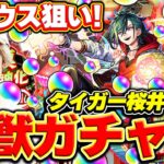 【モンスト】M4タイガー桜井のメビウス狙い！超獣神祭引いてみた結果…！？