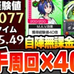 【モンスト】『自陣無課金』4手高速周回×経験値40倍でランク上げ2編成『超絶 ポメラニアンズ』シュウジのマヴ効果で超効率ランク上げ！ハロ守護獣の森【ジークアクスコラボ】【へっぽこストライカー】