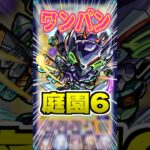 【SS強】ニャアン&ジフレドのSS強いのは勿論、演出カッコ良すぎる！庭園6で使ってみた！ #モンスト #ガチャ神引き #モンスターストライク #ワンパン#空中庭園#ガンダムコラボ