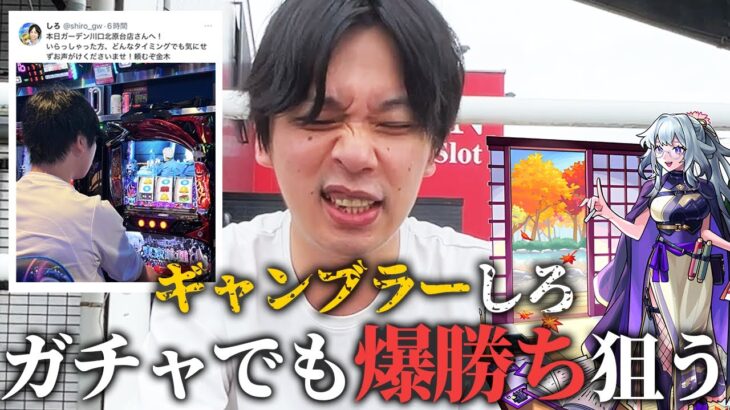 【モンスト】ギャンブラーしろ、モンドリ前だけど爆勝ち目指してガチャに挑む！新限定『いろは』狙いで激獣神祭ガチャ引き散らかした結果！【しろ】