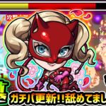 【パンサー】※早くもガチパ更新！！まさかの一発でクリア出来ちゃうだと！？圧倒的な殴り火力/2種の火属性の強友情/チェイン割合SSで、パライソの星墓を蹂躙！『ペルソナ5R』コラボ使ってみた【けーどら】