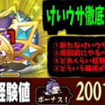 【周回解説】これがけいウサを超えたけいウサ…「キングけいウサ」ってとこかな【モンスト】