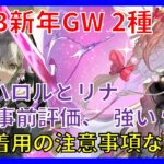 【グランサガ】 2023新年GW 性能2種 公開 | 事前評価による簡単明瞭な解説 | 強い 性能 | リナ着用の注意事項など 【Gran Saga : 格蘭騎士團】