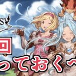 今回のキャンペーンで抑えておくべきことたちを紹介　『このキャンペーンが終わったらどうなる？』『知らんのか』『新しいキャンペーンが始まる』【グラブル】