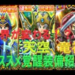 【星ドラ】世界が変わる！？ロト天空竜神覚醒オススメ装備紹介【ネタバレアリ】