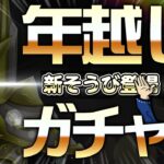 【ドラクエ ガチャ (星ドラ)】新ゼニスそうび『ゼニスの王槌』『ゼニス式王銃（弓）』【星のドラゴンクエスト】