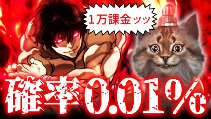 最高レア0.01%の闇ガチャに【１万円課金ッッ】した結果…『バキ King of Souls』
