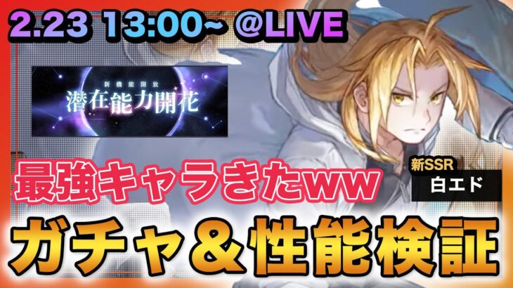 【ハガモバ】新SSRエドワード（白エド）ガチャ&性能検証‼︎生配信‼︎【鋼の錬金術師mobile】