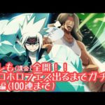 【ふんクロ】フェス限ホロホロ出るまでガチャ前編(性能紹介〜100連まで)【シャーマンキングふんばりクロニクル】