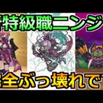 【ドラクエウォーク】新特級職ニンジャがついに実装！これ想像の何倍も強いぞｗ