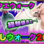 【ドラクエウォーク】年末年始のお知らせ！無課金ギャル勇者のいく！