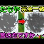 【ドラクエウォーク】完全にネタバレ級のイラストが公開ｗｗその新職の性能がめちゃくちゃ面白い・・！