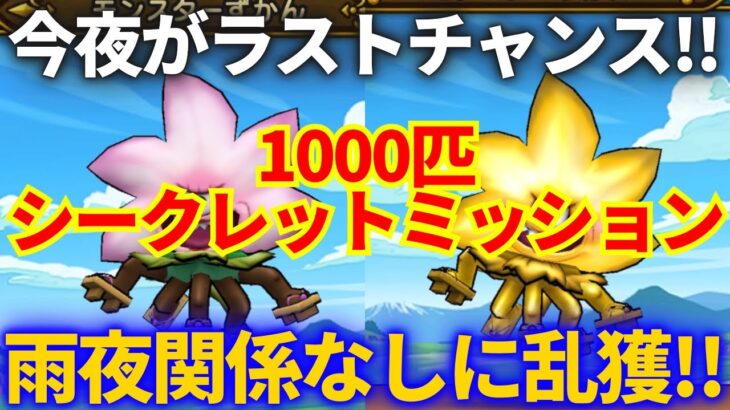 【ドラクエウォーク】今夜がラストチャンスです。雨でも夜でも使える時給○○匹の乱獲戦法で間に合うか！？【さくらこぞうシークレット】【世界樹の氷杖ガチャ】