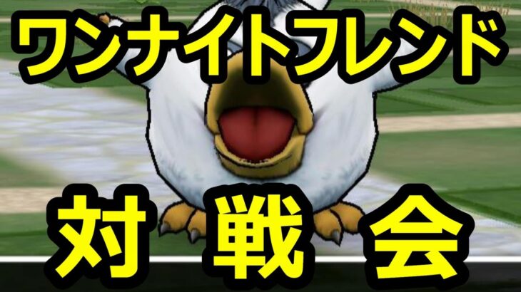 【ドラクエウォーク】ワンナイトフレンド対戦会!!0609【初見さん歓迎】