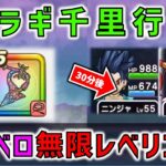 【ドラクエウォーク】覚醒千里行でもカルベロビュートで無限レベリング！ヒイラギ千里行で効率的に経験値を獲得！