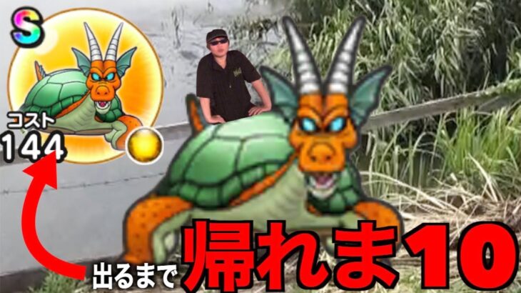 今絶対やるべき理由があります。灼熱のガメゴンロードＳ出るまで帰れま10【ドラクエウォーク】【ドラゴンクエストウォーク】