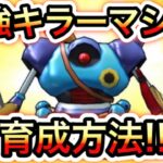 【ドラクエウォーク】第5回GPでキラマが活躍する方法!!(仲間モンスター)