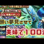 【ドラクエウォーク】【DQWガチャ】ピックアップ出ろ出ろ〜羽をください！羽〜！
