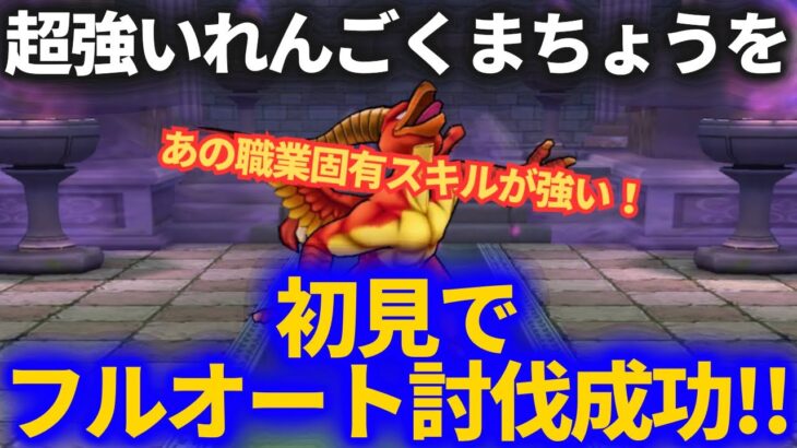 【ドラクエウォーク】れんごくまちょうを初見フルオート成功！！大事なのは〇〇でした【ほこら】