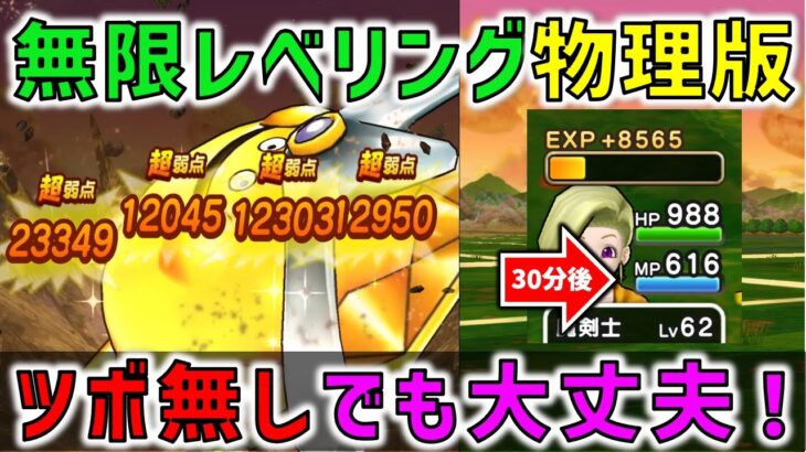 【ドラクエウォーク】物理攻撃の無限自宅レベリングをやってみました！確かに、これも便利過ぎる。。。