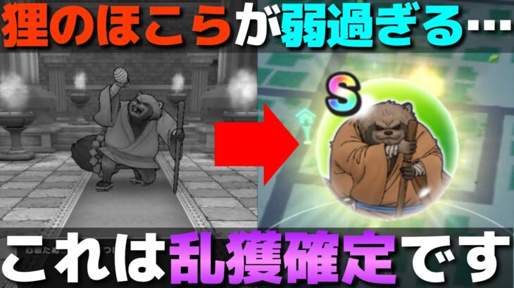 【ドラクエウォーク】強ほこらもフルオートで圧勝！心眼たぬき・強が想像よりも弱過ぎた…。強敵ドロップ渋い方はほこら狙った方がよいかも。