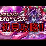 【ドラクエウォーク　メガモン】魔王オムド•レクス　初見攻略　　