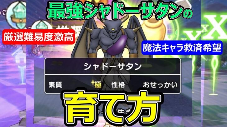 【ドラクエウォーク】最強シャドーサタンの作り方【緩和希望】