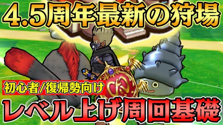 【ドラクエウォーク】4.5周年の最新レベル上げ周回のおすすめ狩場！初心者 復帰勢向けにレベル上げ周回コンテンツの基礎知識編