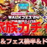 【ドラクエウォーク】ミネア（テリー）＆4.5フェス後半＆ドランゴガチャ！今回もまさかの結果に・・・