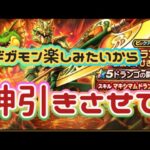 【ドラクエウォーク】【DQW】ブレス装備は防具もいるの！！全身コンプ目指して　こにゃん恐怖のジェムガチャ！