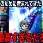 今すぐ倉庫の確認を！テリーさん最高の使い方見つかるww【ドラクエウォーク】【ドラゴンクエストウォーク】