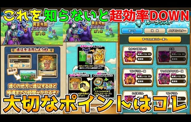 【ドラクエウォーク】これを知らないと超効率DOWN!！！大切ポイントはコレ！！
