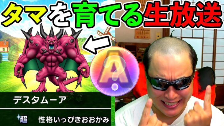 【ドラクエウォーク】タマを育てる波平配信