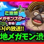 【ドラクエウォーク】ご当地メガモンが渋い…久しぶりの雑談生放送！【雑談放送】