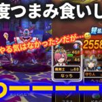 【ドラクエウォーク】黄金列島高難度！！ちょっとだけやってみるか……【邪神官ハーゴン】