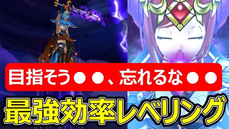 【ドラクエウォーク】最強効率レベリングで○○を目指そう!?
