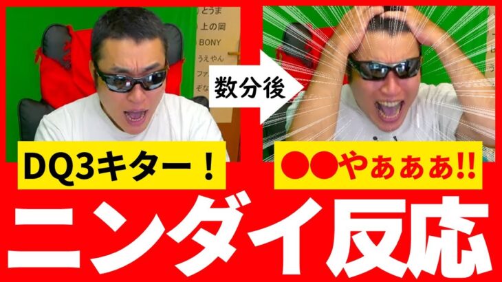 【ニンダイ反応】”あのタイトル”でドラクエより大興奮してしまうドラクエウォーク実況者テマキ【2024/06/18切り抜き】