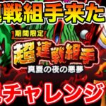 【ドラクエウォーク】完全初見1パーティで超連戦組手に挑戦していきます!!【DQW】