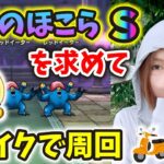 天気のほこらSを求めてバイク周回！レッドイーター１T討伐でビシバシいきます！！【ドラクエウォーク_vol.300】