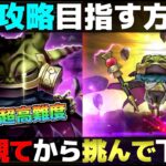 【ドラクエウォーク】知らないと初見全滅確定。5周年超高難度の攻略。