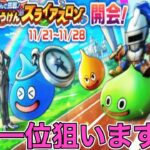 【ドラクエウォークLive】千里行周回しながら雑談。スライアスロンが面白い！お気軽にどうぞ！