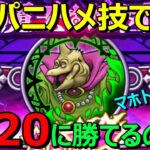 【ドラクエウォーク】混乱ハメ技で何Lvまで倒せるのか！？バラモスLv20に挑戦します！